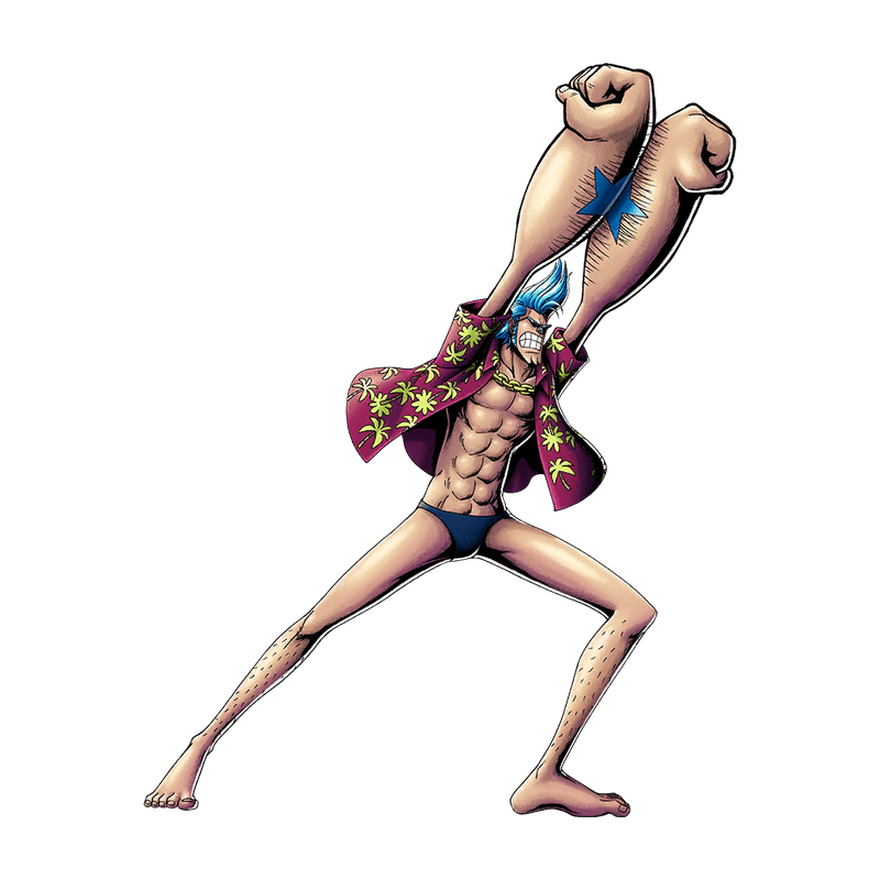 Straw Hat Pirates / Ship Carpenter Franky
